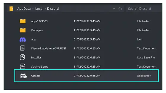 actualizare discord