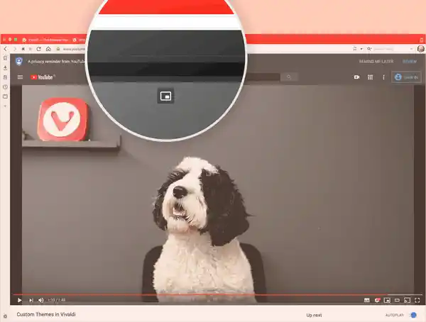 Vivaldi 2.11 vydáno s vylepšeními pop-out videa