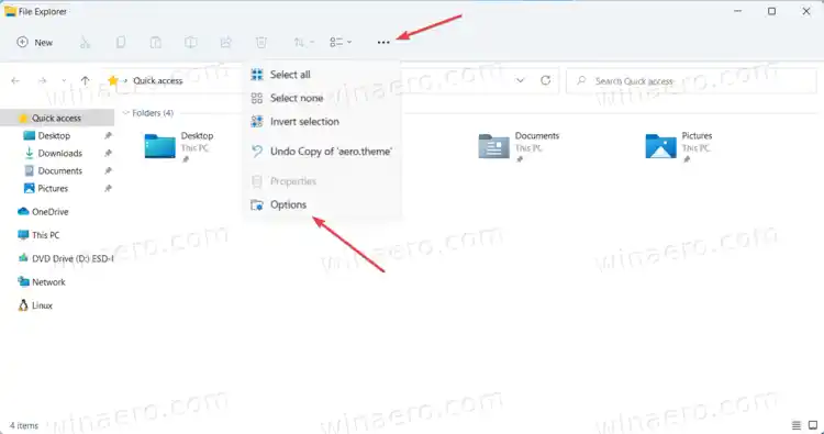 Cara Membuka Pilihan Folder dalam Windows 11