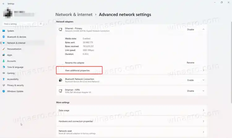 Higit pang Network Adapter Options