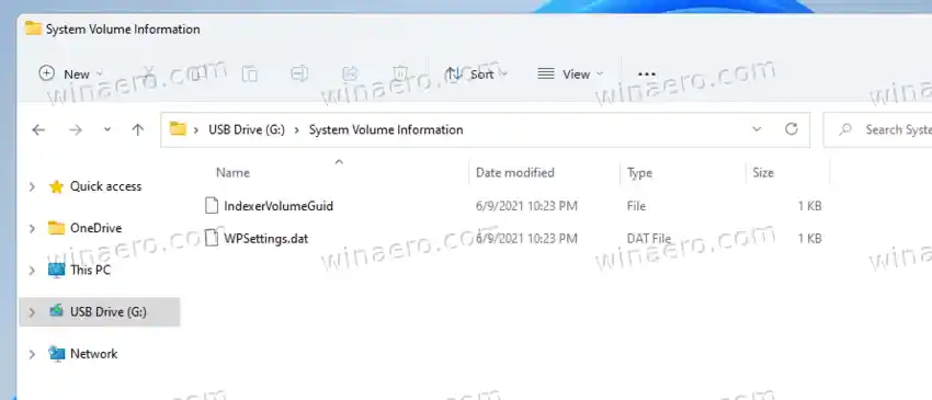 File di Folder Informasi Volume Sistem